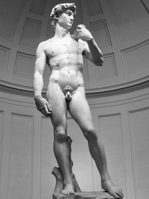 Michelangelos David Michelangelos David