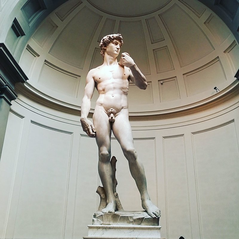 Florencia: Visita guiada a la Galería de la Academia